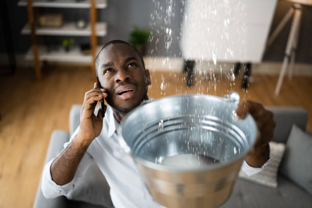 Best Flood restoration services  in Mount Pleasant, MI