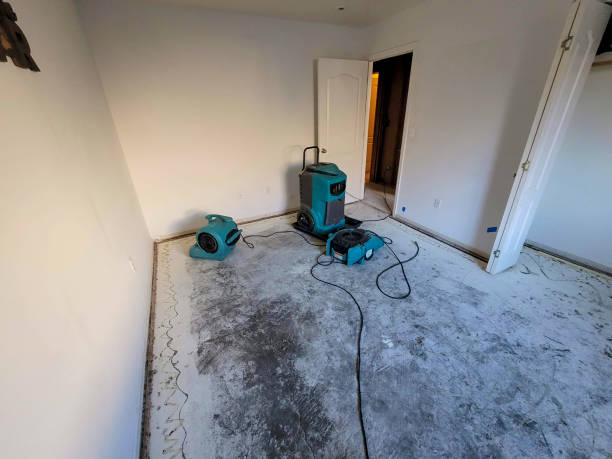 Best Ceiling water damage repair  in Mount Pleasant, MI