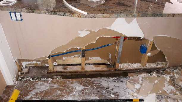 Best Residential water damage restoration  in Mount Pleasant, MI
