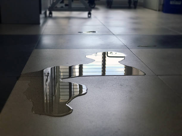 Best Professional water damage repair  in Mount Pleasant, MI