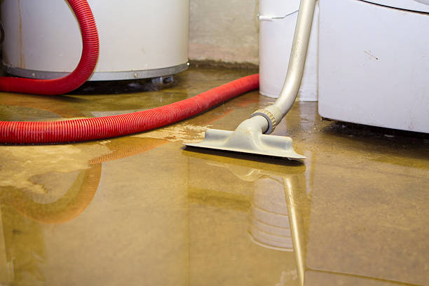 Best Water damage restoration near me  in Mount Pleasant, MI