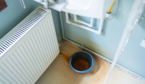 Best Mold removal after water damage  in Mount Pleasant, MI