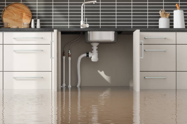 Best Fire Damage Restoration  in Mount Pleasant, MI